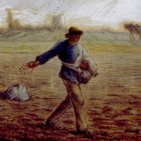 Sower