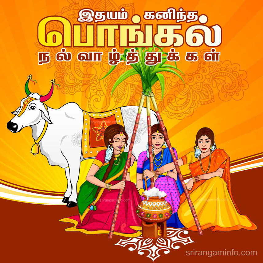 Happy pongal wishes 2019| happy pongal photos|happy pongal images|happ y pongal wishes in tamil | 