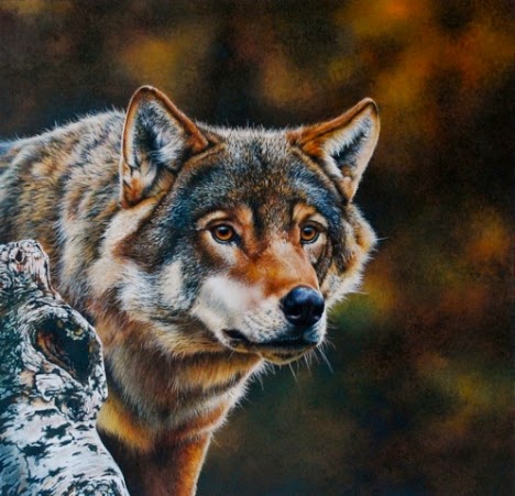 Realistic animal painting