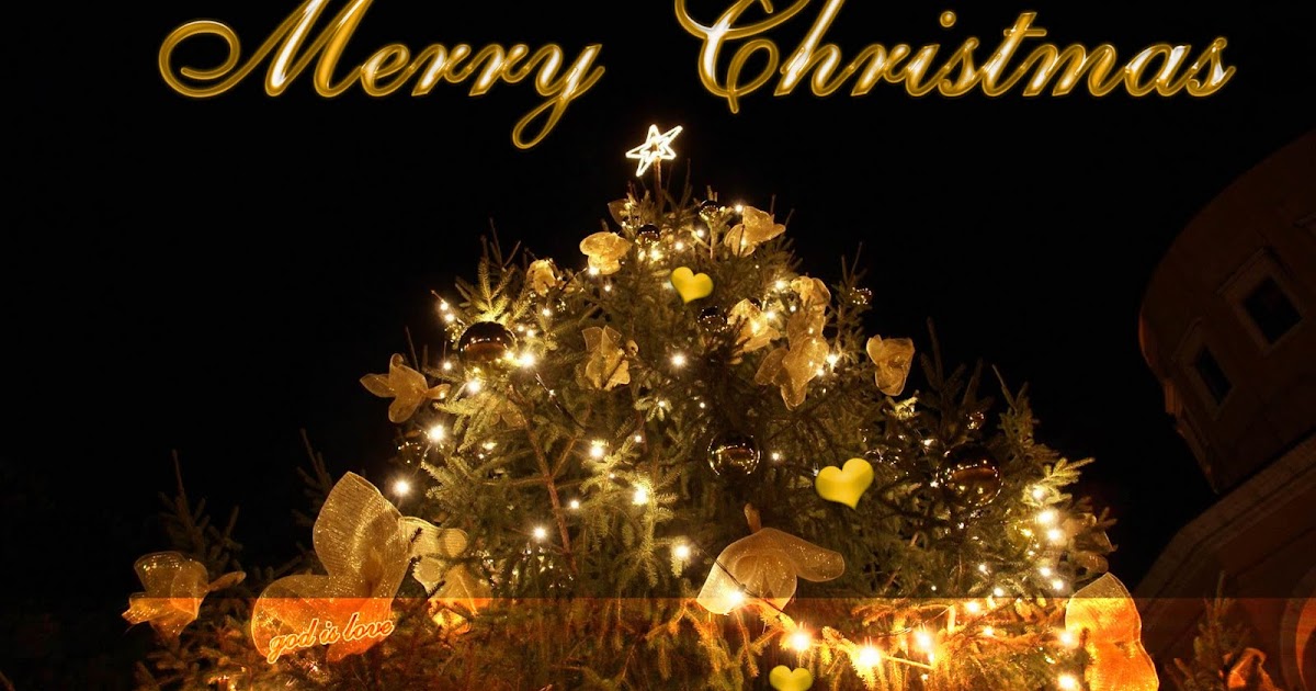 Shri Shirdi Sai Guruvarul Thirukkoil, Coimbatore: MERRY CHRISTMAS