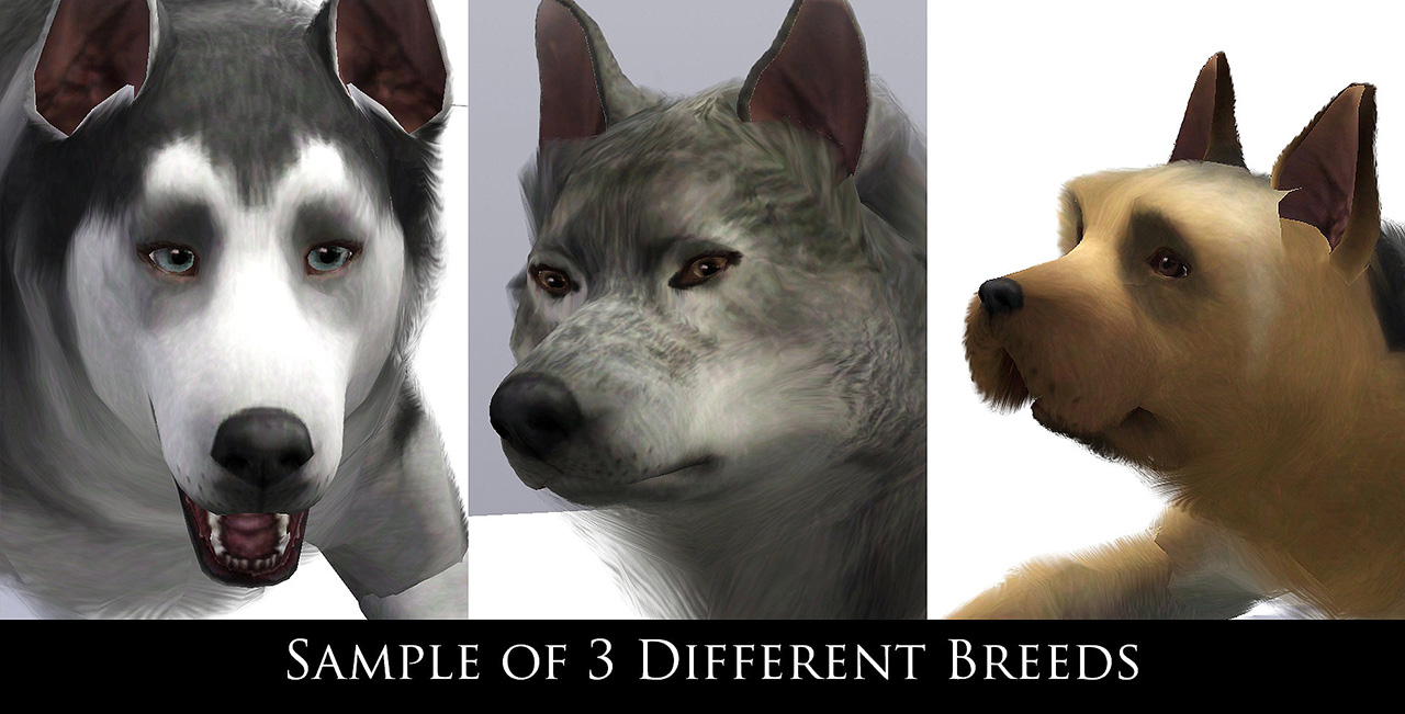 White Hair Cats And Dogs The Sims White Hair Cats And Dogs The Sims