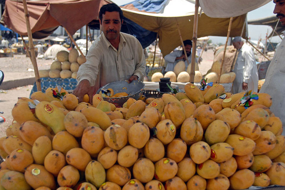 To Pakistan Fruits and Crops