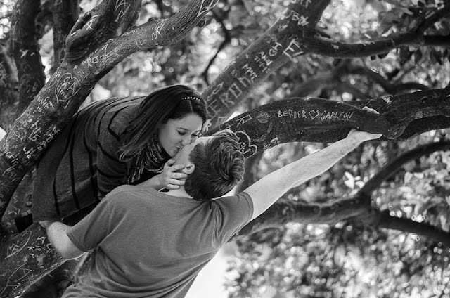 The Orange Circle Photography - Kincannon Photography The Orange Circle Photography