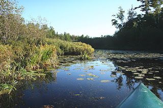 River Connecting Lakes Birch Lodge, Trout Lake, MI River Connecting Lakes Birch Lodge, Trout Lake, MI