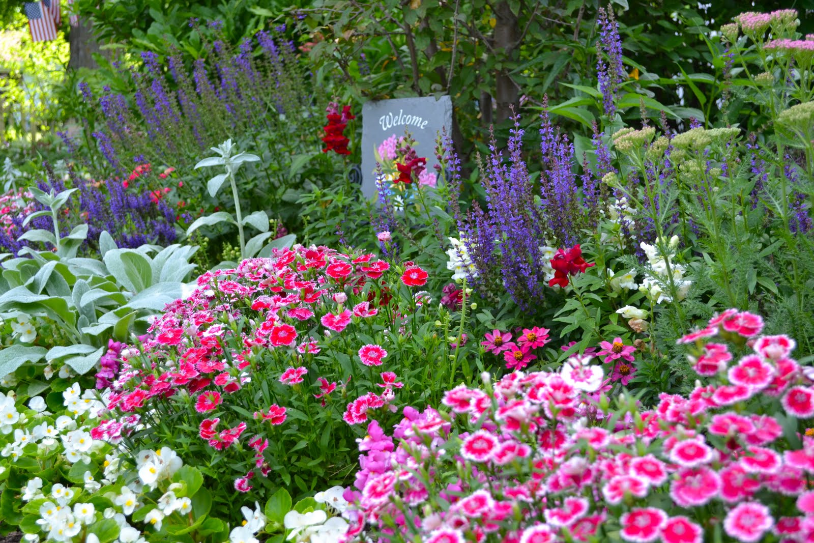Cottage and Broome Summer Blooms in Charlevoix