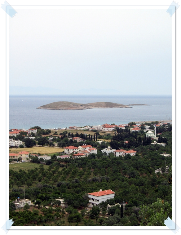 LEYLAK DALI YOLCULUK 5