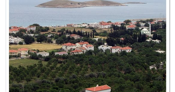 LEYLAK DALI YOLCULUK 5