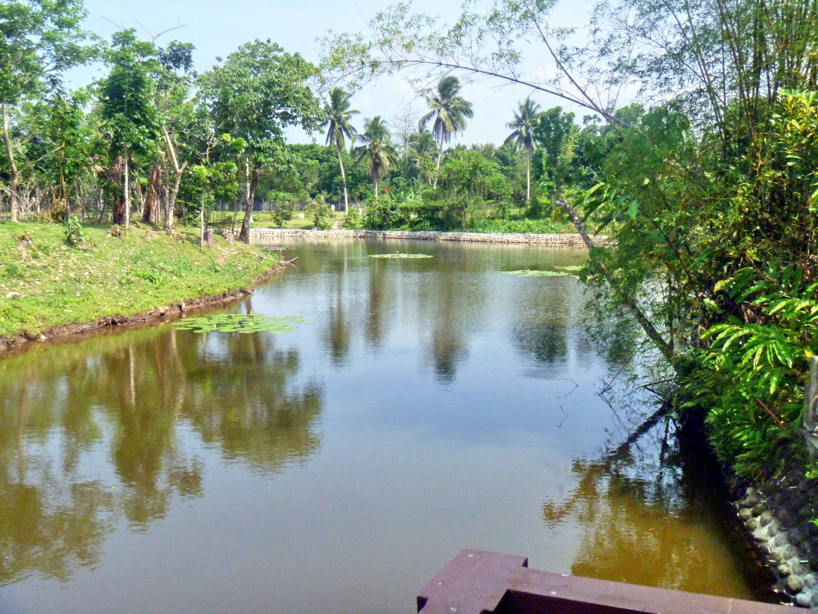 F.Y.I. (Fire Your Imagination) Resort Feature Pineapple Island Resort