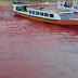 GEMPAR !!.. Warna Air Laut Maluku Tengah, Indonesia berubah merah darah