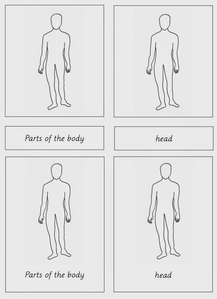 Elementary Observations: External Parts of the Body