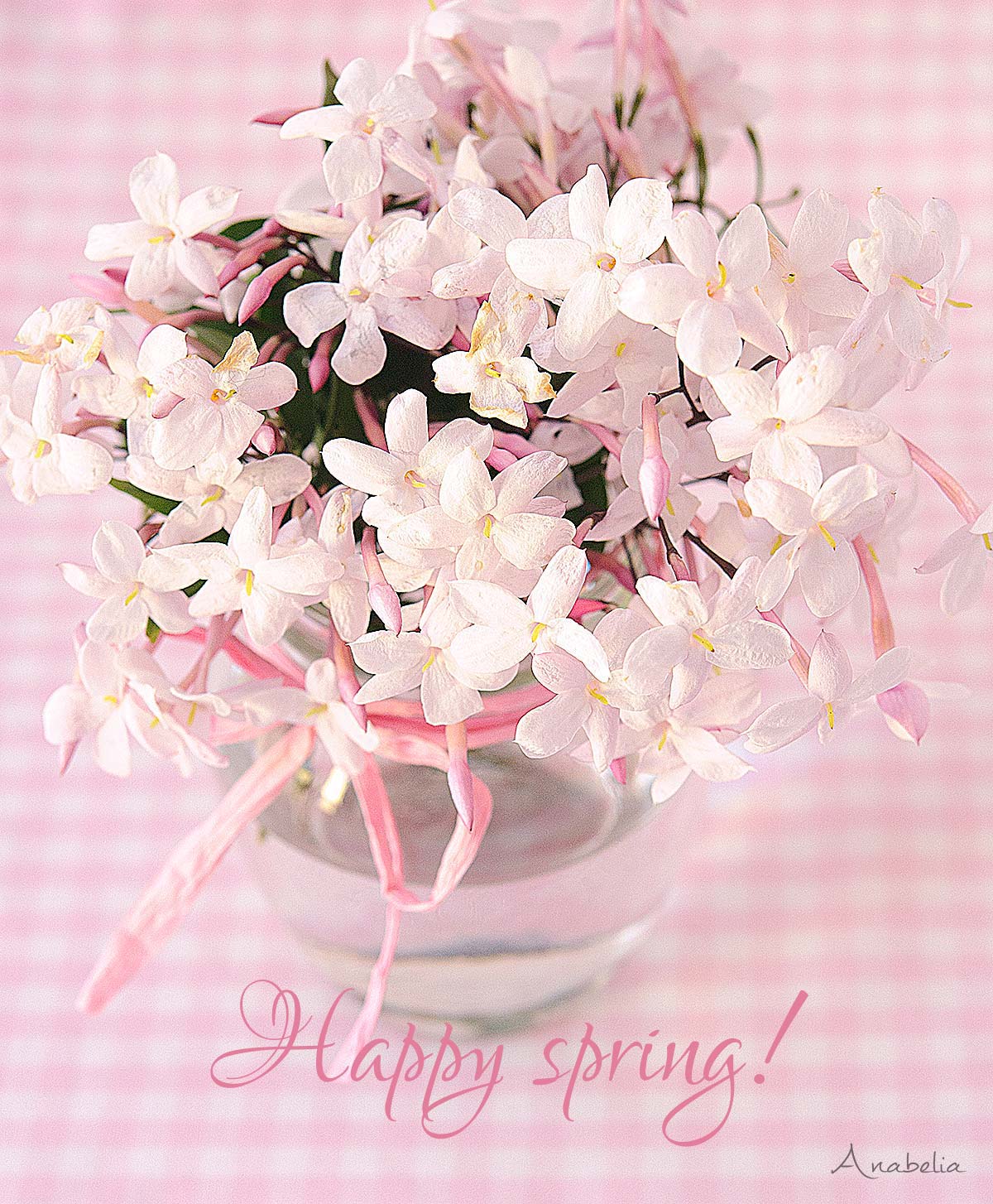 Happy spring by Anabelia Happy spring by Anabelia