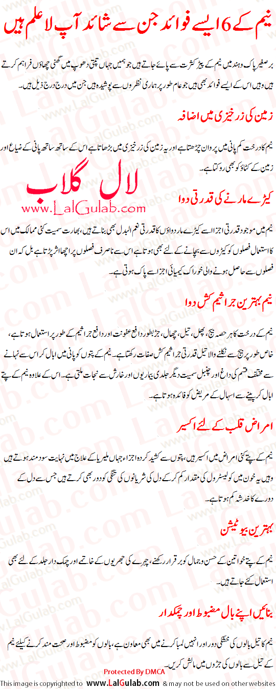 Neem Benefits On Skin In Urdu