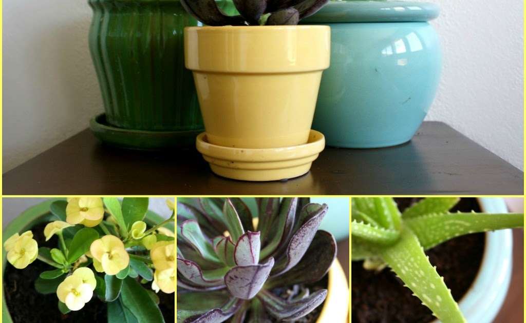 Tails to Tell What's the Opposite of a Green Thumb?