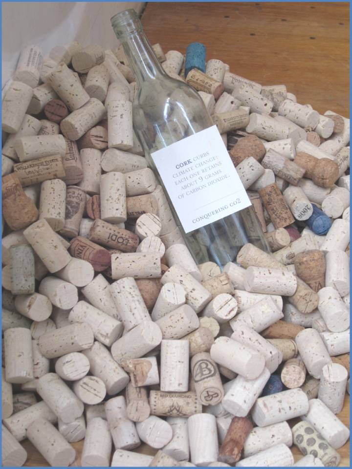 blah to TADA! Pop the Cork!