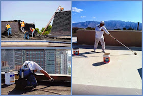 Roof Maintenance Repair and Coating Service - Business Ideas