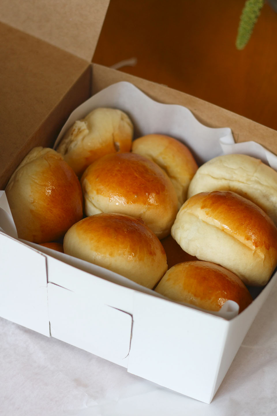 66 Square Feet (Plus) Pork buns!