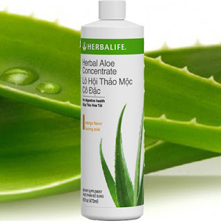 Nước lô hội thảo mộc cô đặc Herbalife Aloe cải thiện hệ tiêu hoá