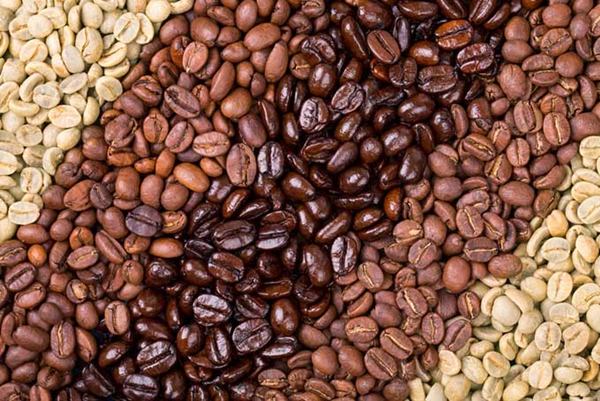 jenis jenis kopi jenis jenis kopi