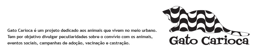 O Gato Carioca - English