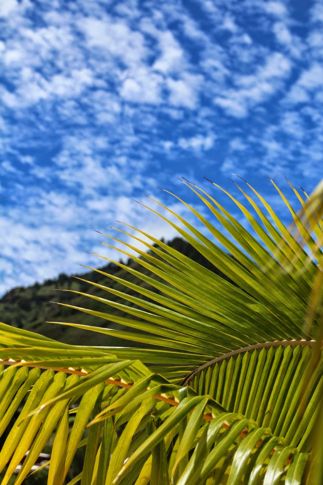 Moorea Moorea