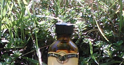 tea tree repel mosquitoes