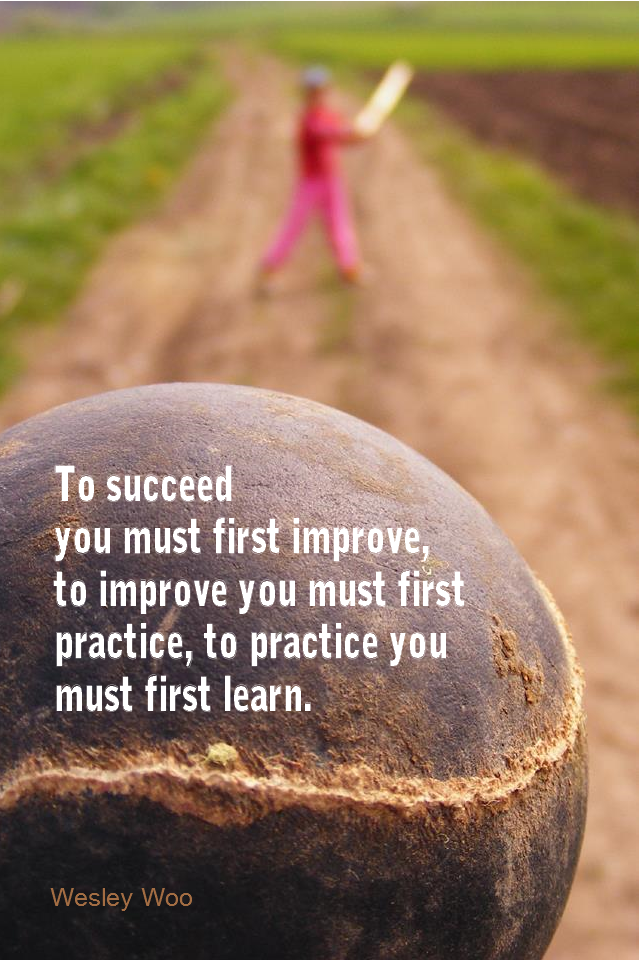 visual quote - image quotation for SELF-IMPROVEMENT - To succeed you must first improve, to improve you must first practice, to practice you must first learn. - Wesley Woo