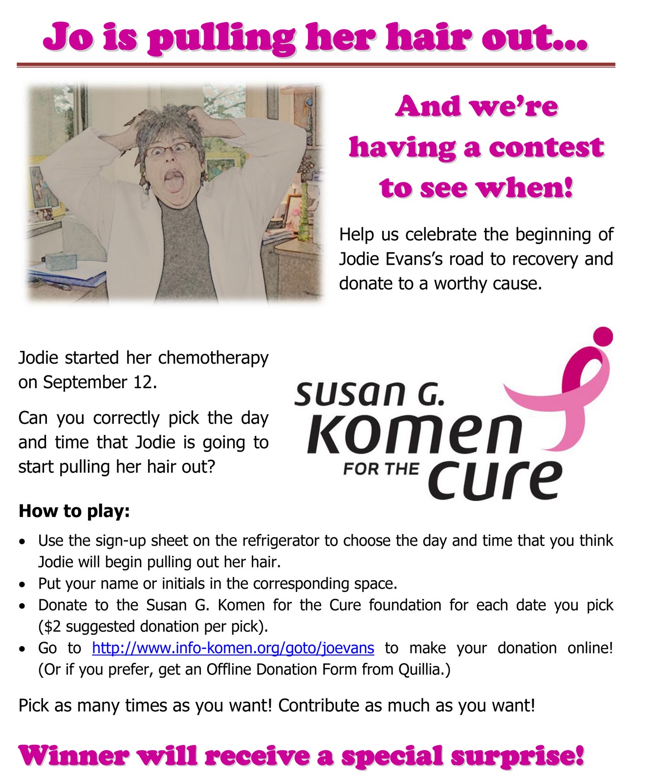 cleaning lady flyer