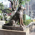 Cerita Hachiko dan Simbol Kesetiaan