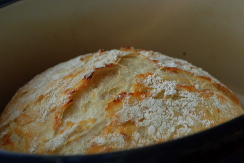 Was gifted the Le Creuset bread oven for Christmas. Tried the basic no  knead loaf and came out delicious. : r/Breadit
