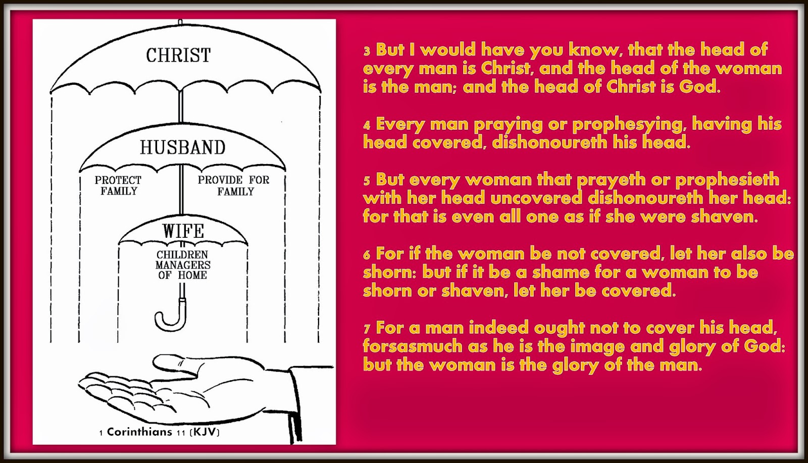 Red Pill Diaries Head Covering / 1 Corinthians 11 (KJV)