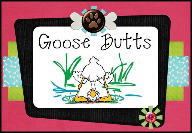 Goose Butts