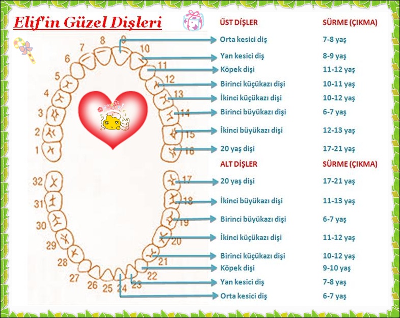 ANNE KALEMİNDEN Kasım 2012