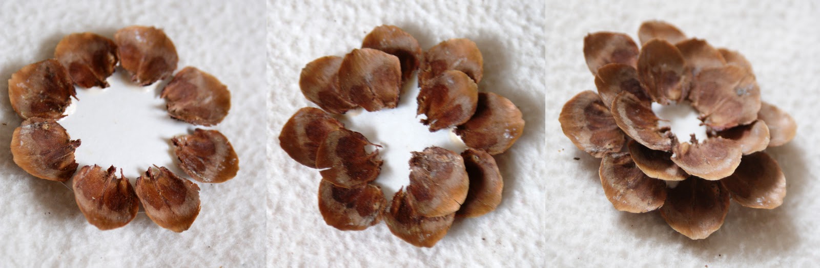 The Better Nester How To Make Pine Cone Flowers