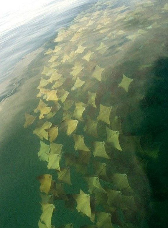 Blog Por Simas ARRAIAS