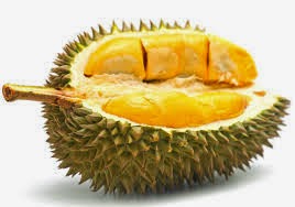 Maidaniipancakedurian.com Distributor Resmi Pancake Durian, Oleh Oleh Khas Medan