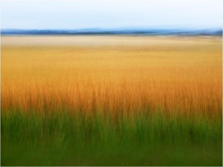 Compact Camera, Best Photo of the Day in Emphoka by Simon Ashmore, Fujifilm X100S, https://flic.kr/p/oaHC1W Compact Camera, Best Photo of the Day in Emphoka by Simon Ashmore, Fujifilm X100S, https://flic.kr/p/oaHC1W