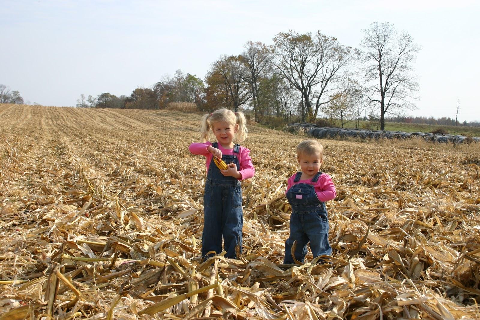 been farming long