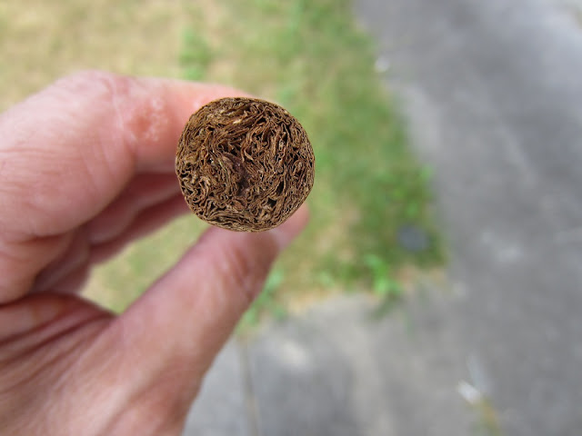 Cigar Cuba chính hiệu!!! Đẳng cấp ông chủ!!!! - 3