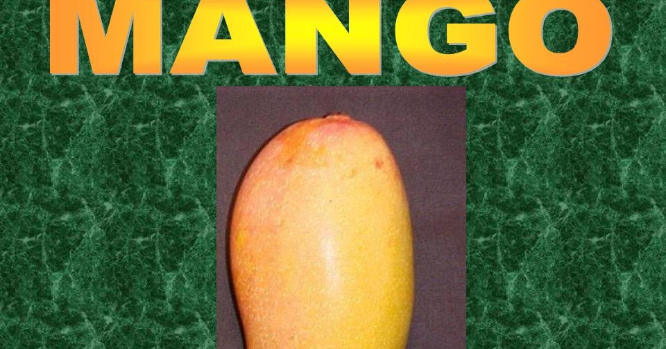 SpreebirdTrend and Culture MANGO (National Fruit Of Pakistan)