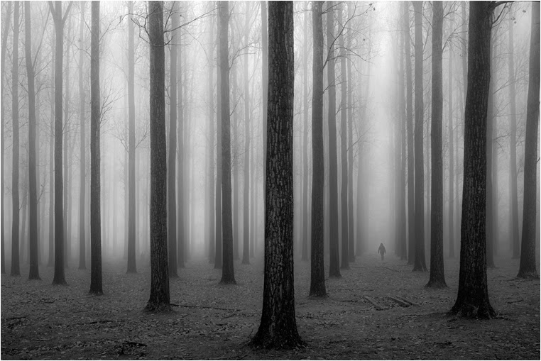 Best Photo of the Day in Emphoka by Jochen Bongaerts, https://flic.kr/p/mhnGxP Best Photo of the Day in Emphoka by Jochen Bongaerts, https://flic.kr/p/mhnGxP