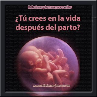 Conversación en el vientre vientre, embarazada, parto, vida, oscuridad, vida, mamá, mundo