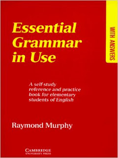 essential grammar in use pdf download gratis