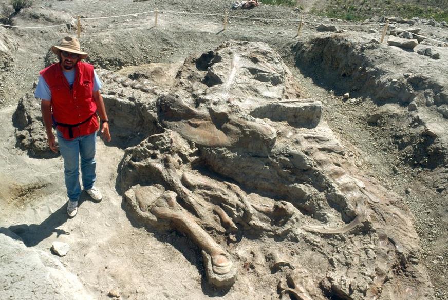Smithsonian acquires T. rex for new dinosaur hall Smithsonian acquires T. rex for new dinosaur hall