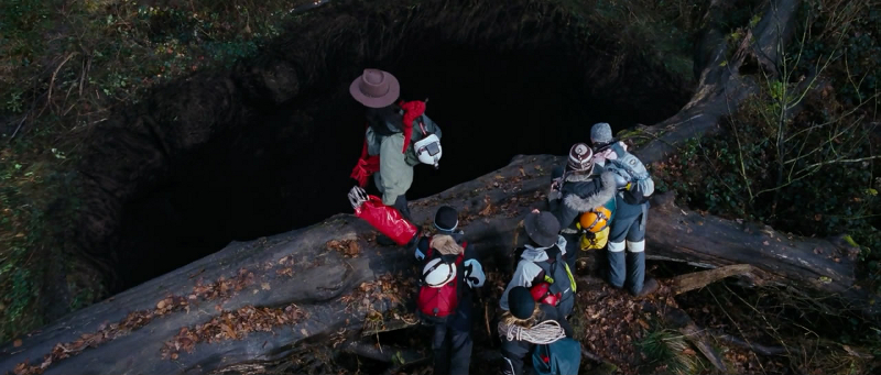 「The Descent movie」的圖片搜尋結果