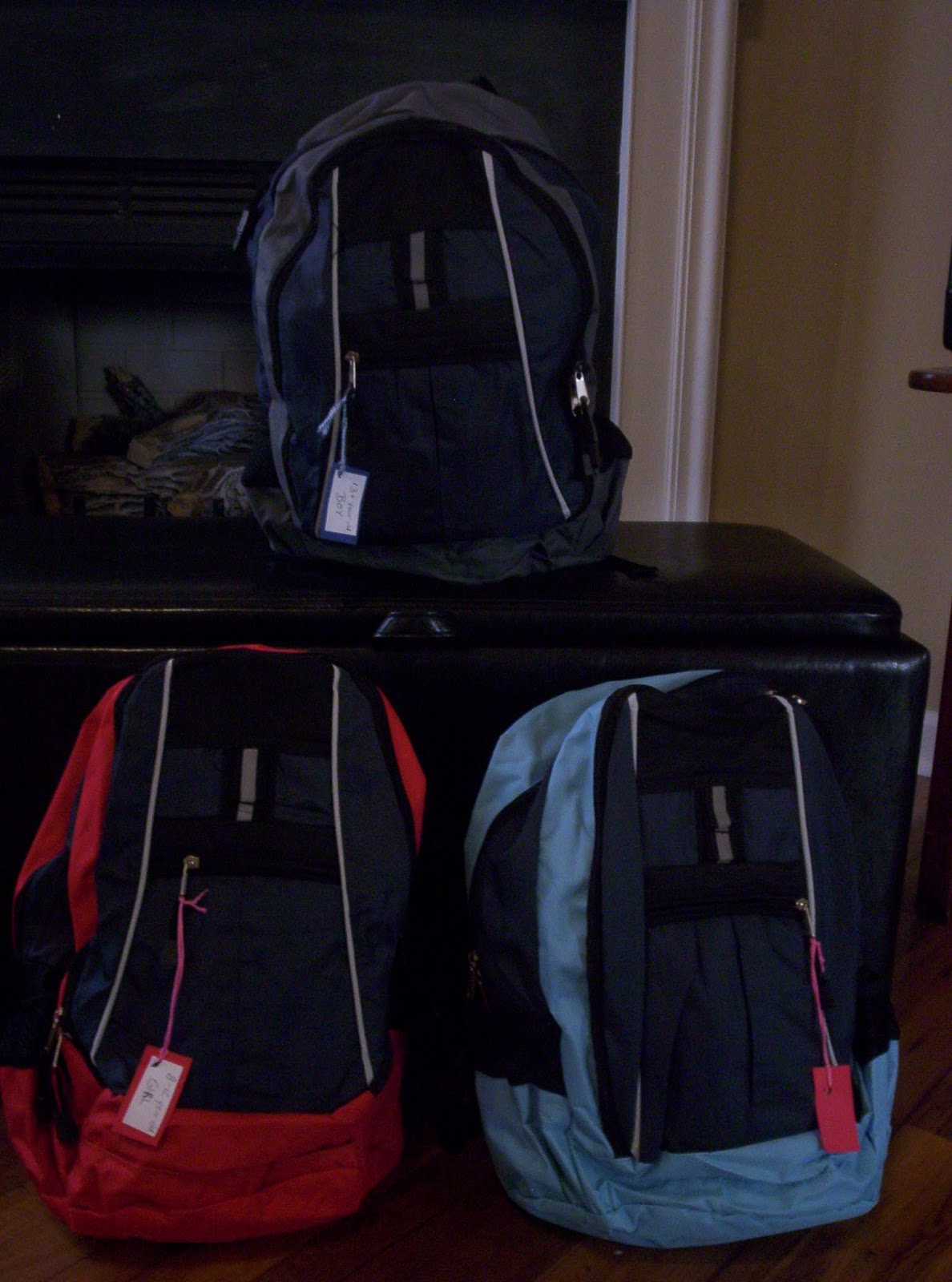 Journey Bags for Foster Children Journey Bag Info