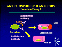 ANTIPHOSPHOLIPID ANTIPHOSPHOLIPID