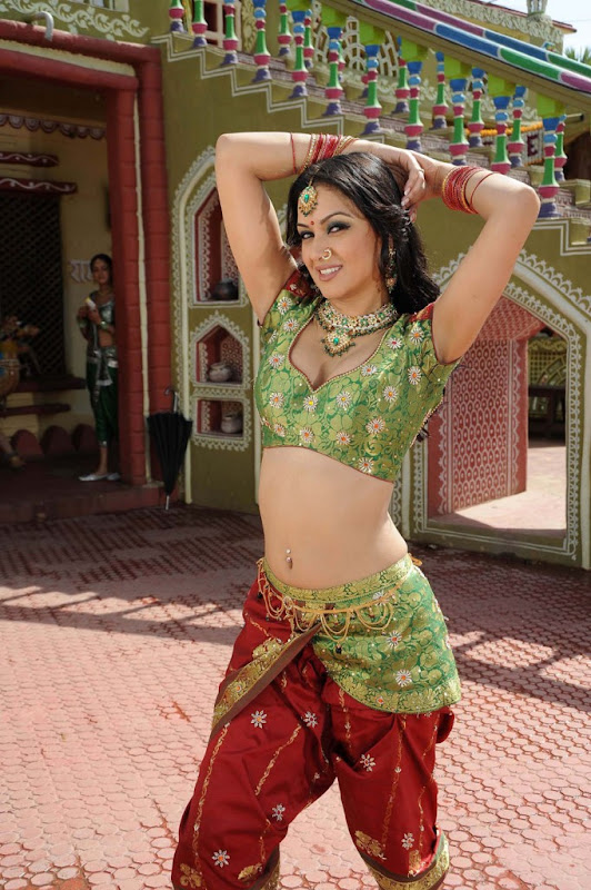 Maryam Zakaria  Iranian Tamil Beautiful Item Actress Hot and Spicy Stills navel show