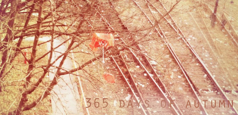 365 Days of Autumn