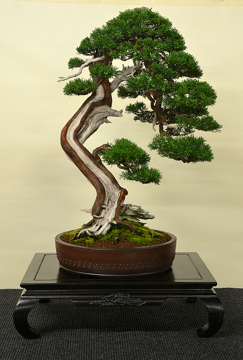 Bonsai Living Art International Bonsai and Kusamono Exhibition
