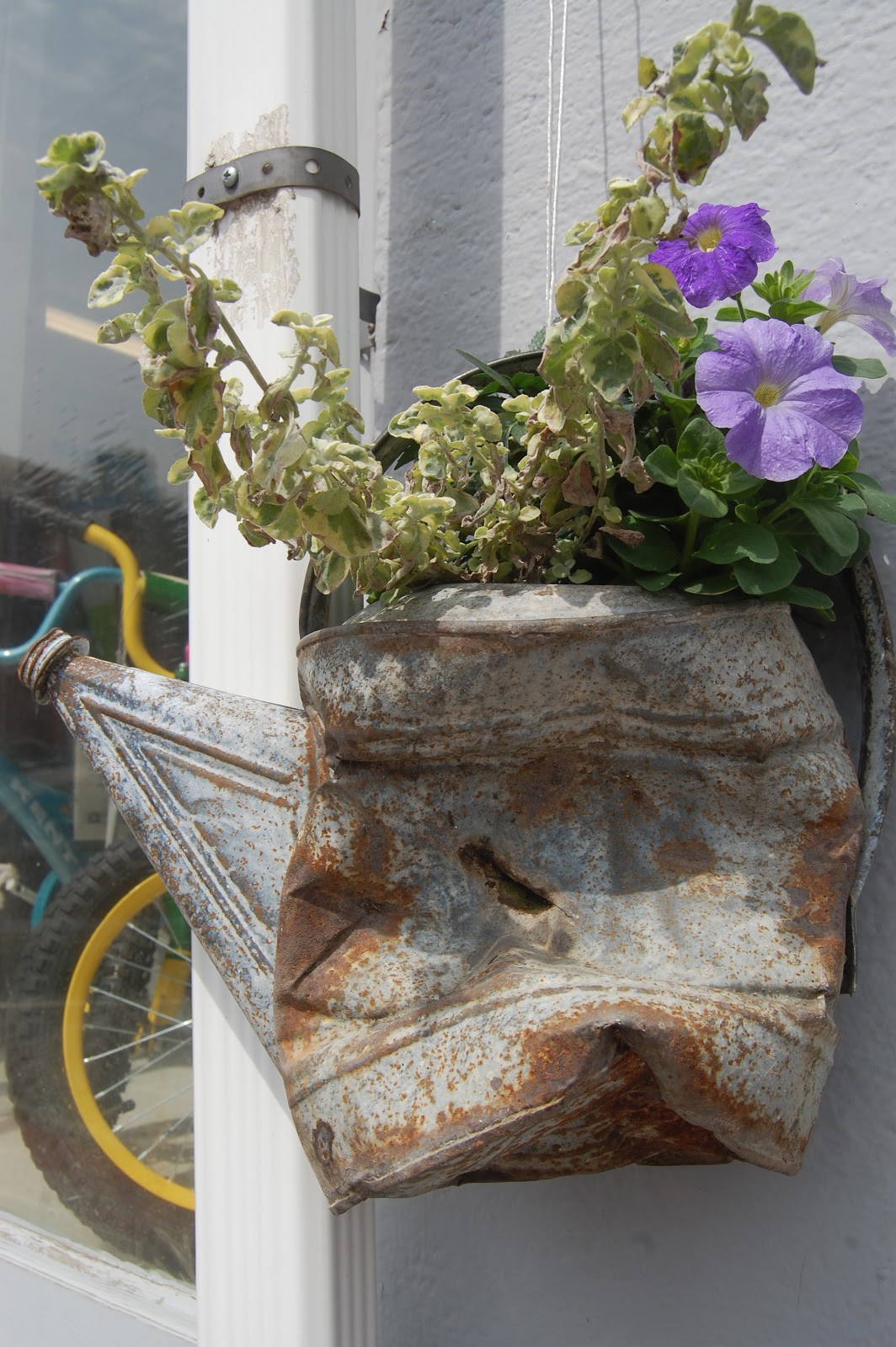 Sprouts Flowers Around Town Belfast, Maine